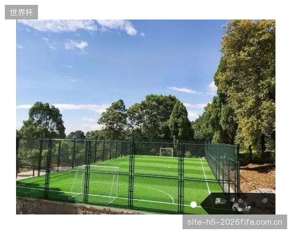 超过85%的新建专业足球场已将锥头应力光电检测纳入验收，以应对球迷高频跳动引发的结构共振挑战